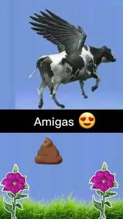 amigas 