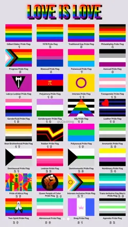 Pick Your Flag 🏳️‍🌈