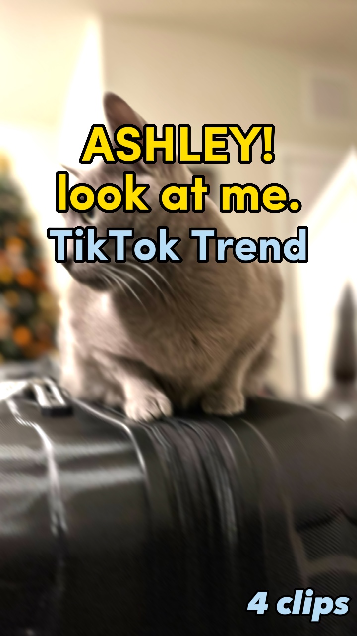ASHLEY! regarde-moi.