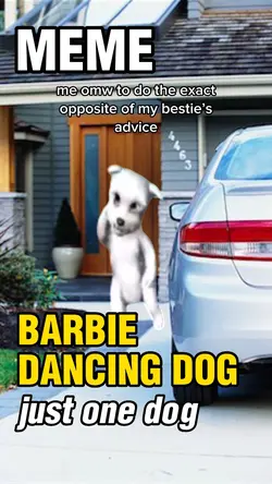 BARBIE DANCING DOG