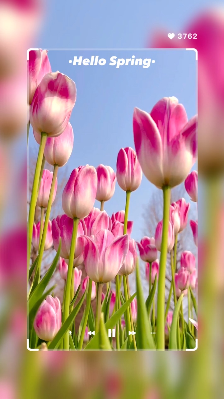 HelloSpring