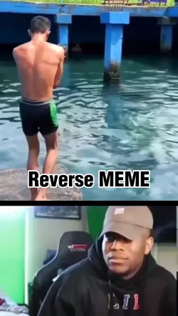 Reverse meme
