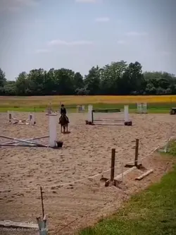 @rory.hunterjumper