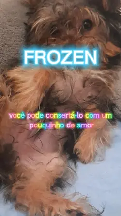 Animais
