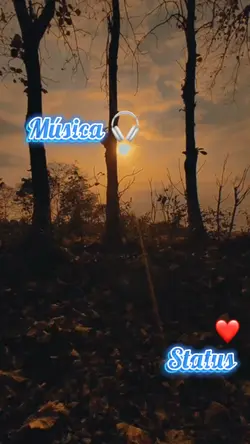 Música 🎧 Bom dia ☀️ 