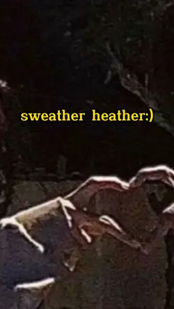 sweather heather 