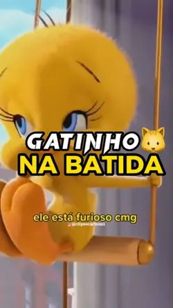 Eu vi um gatinho