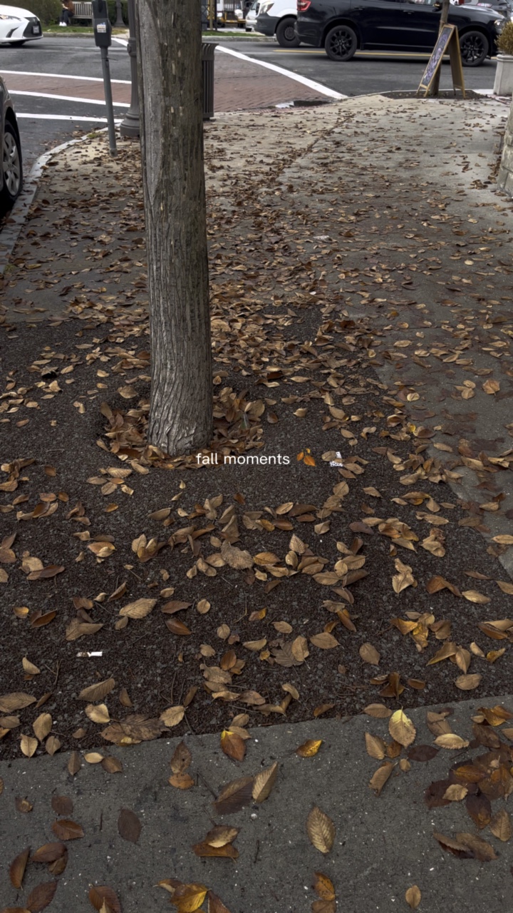 Fall Moments 