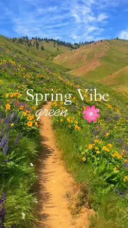 Spring break
