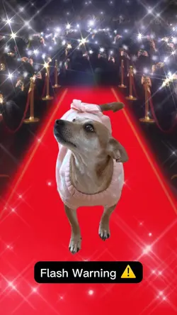 Red Carpet fw ⚠️