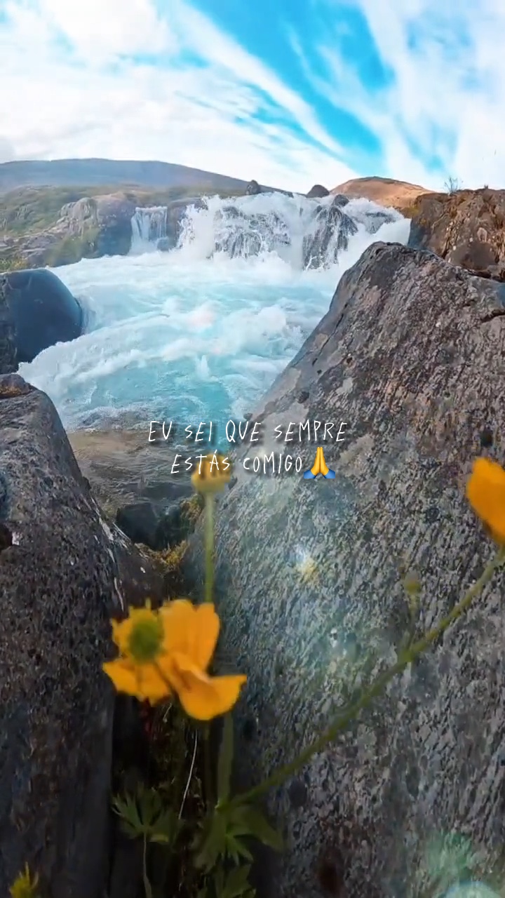 Louvor e adoração 