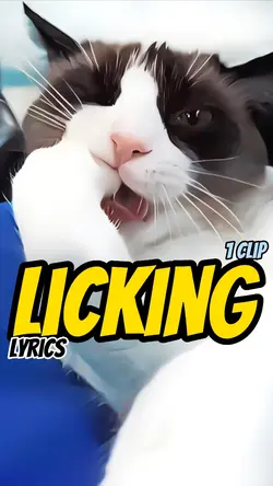 Licking MV