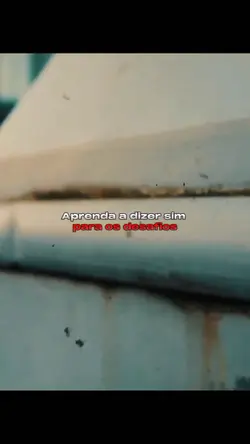 Aceite DESAFIOS