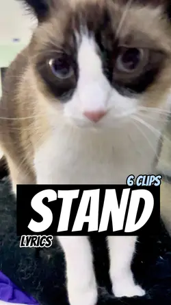 Stand!