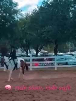I went to the races!