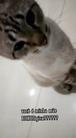 Mãe BICHOlógica
