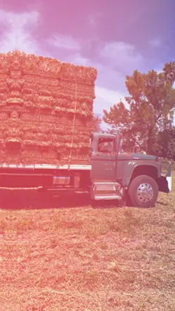 Historias que contar