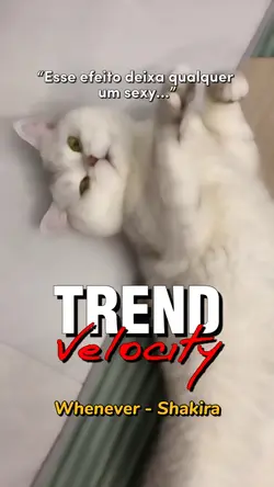 Whenever - Velocity