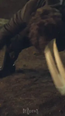 Sherlock Holmes kkkk