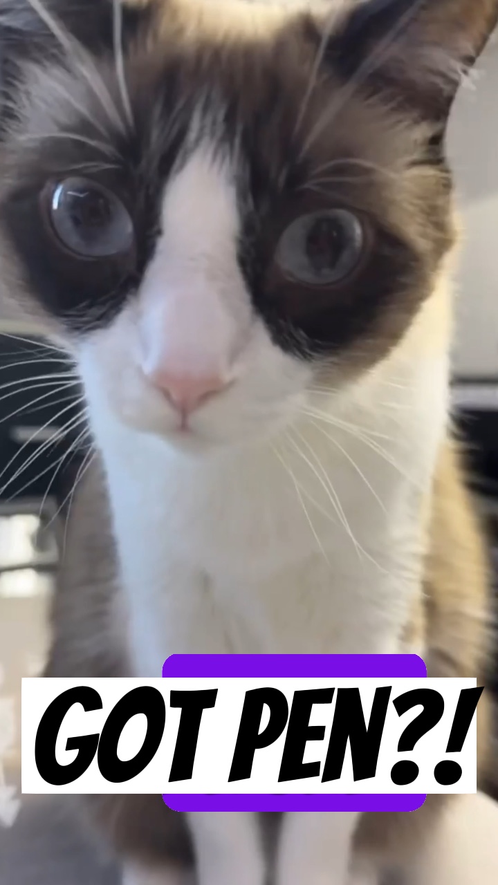 펜 있어?!