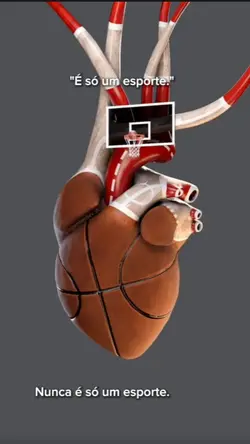 Nova trend basquete