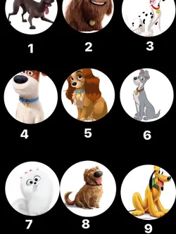 Trend do pet 🐾