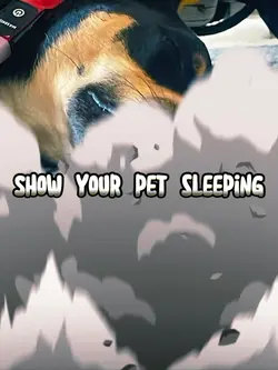 Show your pet sleepi