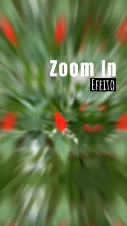 Zoom in