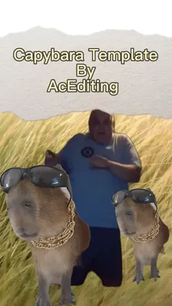 Capybara Meme Temp