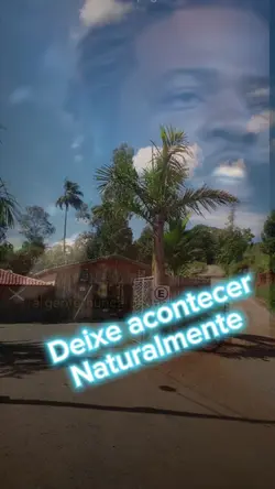 Deixe acontecer nat.