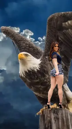 águia 