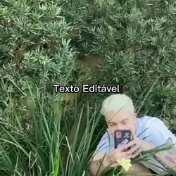 Fundo TikTok