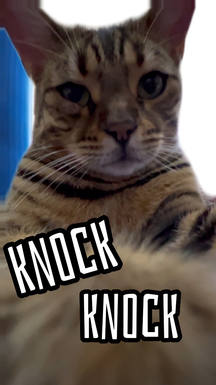 Knock knock