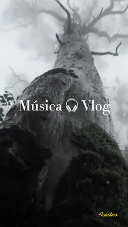 Música 🎧 