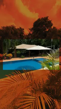 Transição de luxo