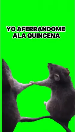 ratas de la mano