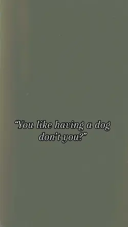 Dog