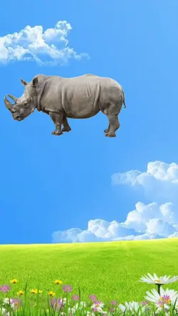 RINOCERONTE BOTA OVO