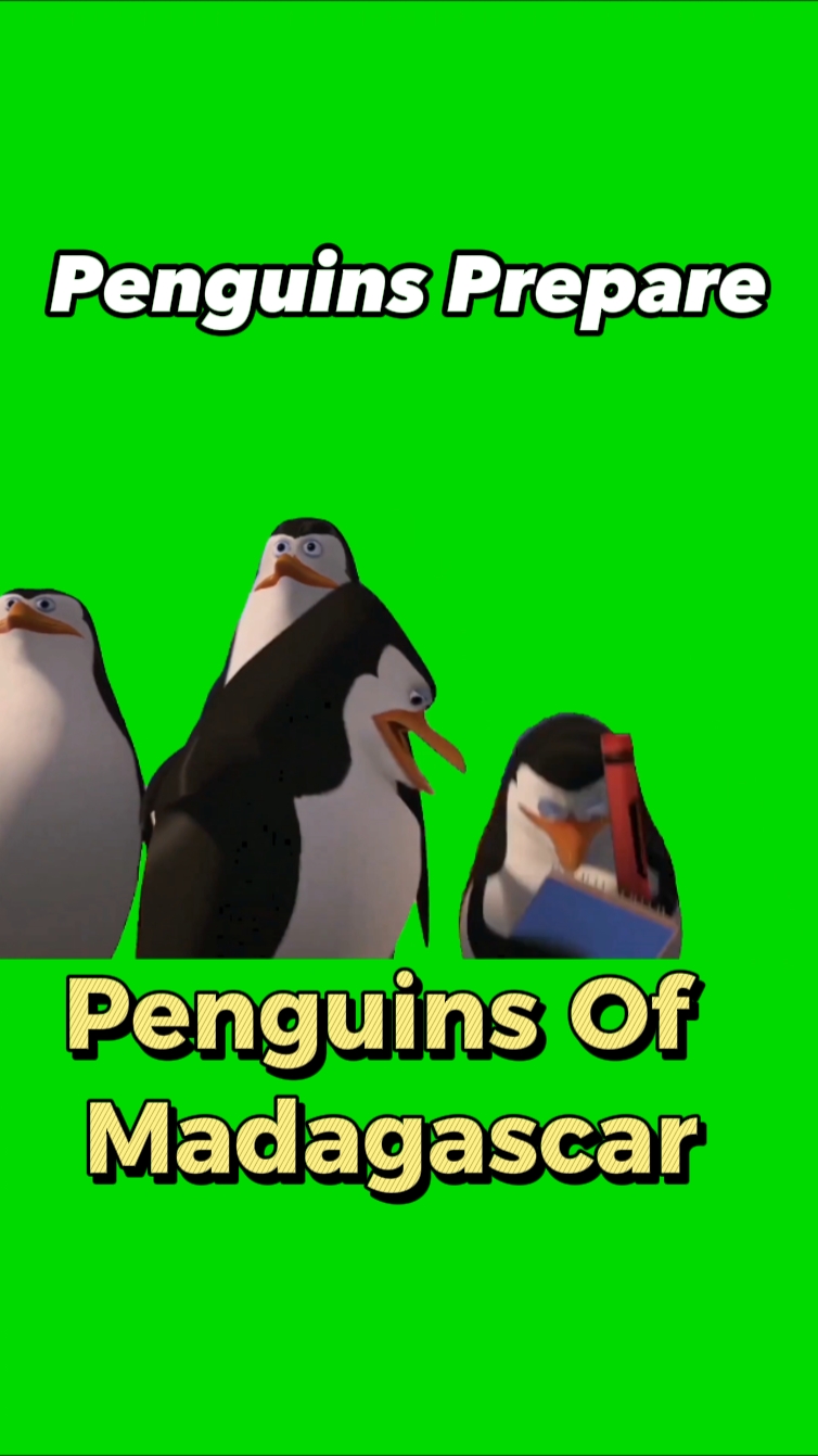 Penguins Prepare 
