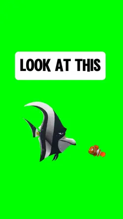 LOOK AT THIS