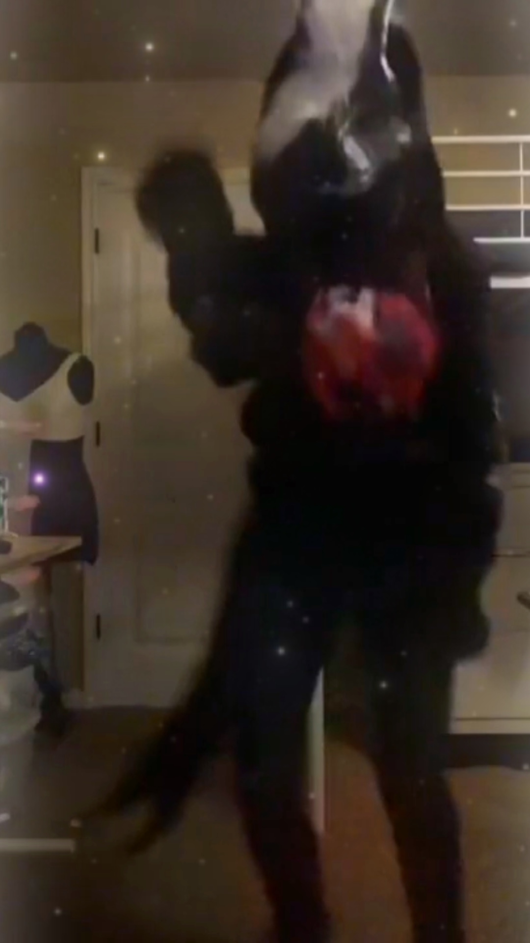 For TW’s Edit contes