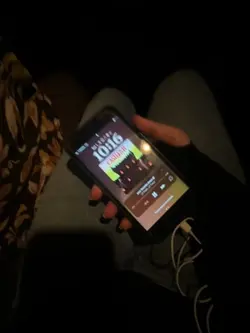 fake bitch