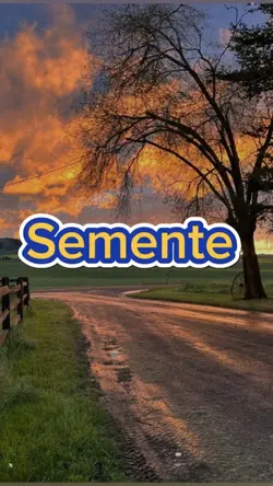 Semente 