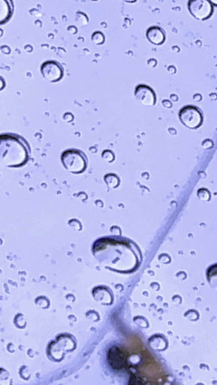Gotas de lluvia