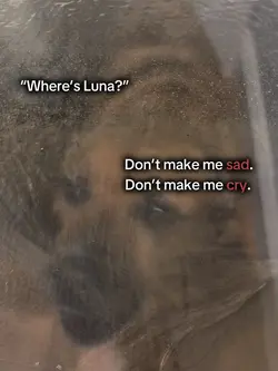 Don’t make me sad 🫶🏻