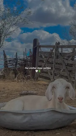 Civilização 🤍🌵