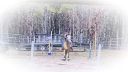 HAPPY BIRTHDAY GIRLY