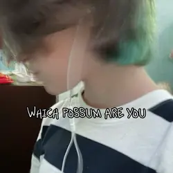 POSSUM 