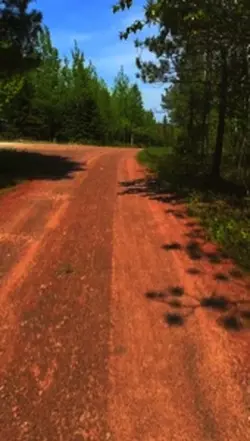 Te amo mamá 👩 ❤️‍🩹