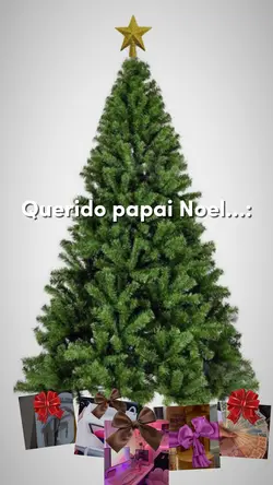 querido papai noel